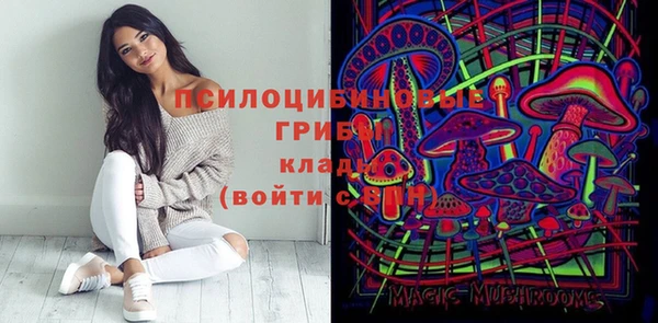 PSILOCYBIN Алексеевка