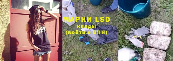 PSILOCYBIN Алексеевка