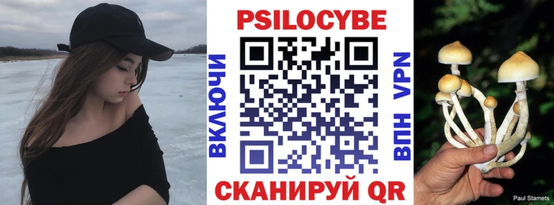 купить   Ардатов  Псилоцибиновые грибы Psilocybine cubensis 